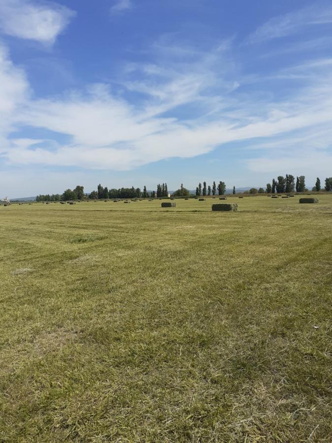 Petite Maison Dans La Campagne A 10 Mn A Pied Du Centre Ville Arles Dış mekan fotoğraf